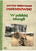 W polskiej dżungli