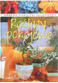 Rośliny pokojowe