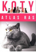 Koty Atlas Ras