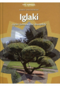 Iglaki cięcie i formowanie żywopłoty
