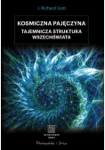 Kosmiczna pajęczyna