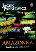 Amazonka. Zagadka źródła królowej rzek