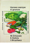 Fol Uprawa warzyw w gruncie