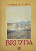 Bruzda