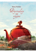 Pożyczalscy na wyspie