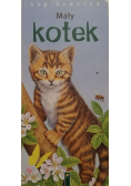 Mały kotek