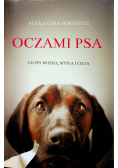 Oczami psa Co psy wiedzą myślą i czują
