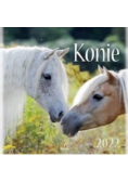 Kalendarz 2022 Ścienny Konie ARTSEZON