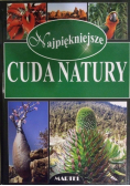 Najpiękniejsze cuda natury