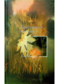 Zapomniałem was drzewa moje