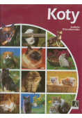 Koty