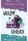 Wiedźmy w opałach