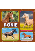 Konie