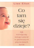Co tam się dzieje?