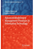 Advanced Modeling of Management Processes