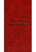 Przez Krew jego krzyża