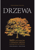 Drzewa. Przewodnik Collinsa