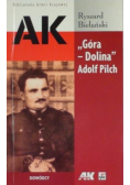 Góra Dolina Adolf Pilch