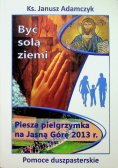 Być solą ziemi Piesza pielgrzymka na Jasną Górę 2013 r.
