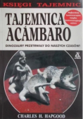 Tajemnica Acambaro