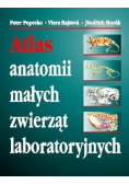 Atlas anatomii małych zwierząt