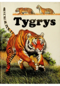 Tygrys