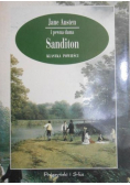 Sandition