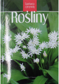 Spotkanie z przyrodą Rośliny