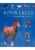 Konie i kuce Kompendium