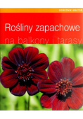 Rośliny zapachowe na balkony i tarasy