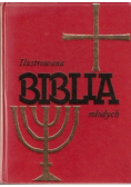 Ilustrowana biblia młodych