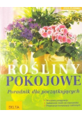 Rośliny pokojowe  Poradnik dla początkujących