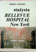 Stażysta Bellevue Hospital New York