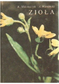 Zioła