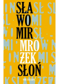 Słoń