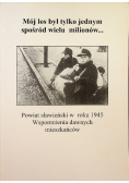 Mój los był tylko jednym spośród wielu milionów