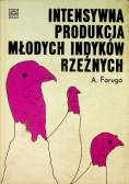 Intensywna produkcja młodych indyków rzeźnych
