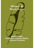 Histoire de Pierre Lapin