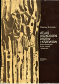 Atlas uszkodzeń drzew i krzewów powodowanych przez owady i pajęczaki