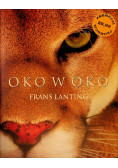 Oko w oko