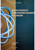 Semantyka przestrzenna polskich przyimków prefigowanych na tle rosyjskim