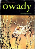 Owady zwierzęta świata