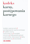 Kodeks karny postępowania karnego