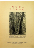 Puszcze Polskie, 1936r.