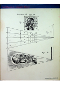 Anamorfozy albo Thaumaturgus opticus Archiwum wyobraźniTom 2