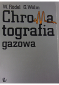 Chromatografia gazowa