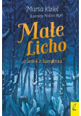 Małe Licho i anioł z kamienia