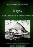Ślęża w pradziejach i średniowieczu