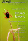 Kleszcz Łąkowy Dermacentor Reticulatus
