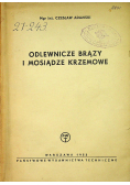 Odlewnicze brązy i mosiądze krzemowe
